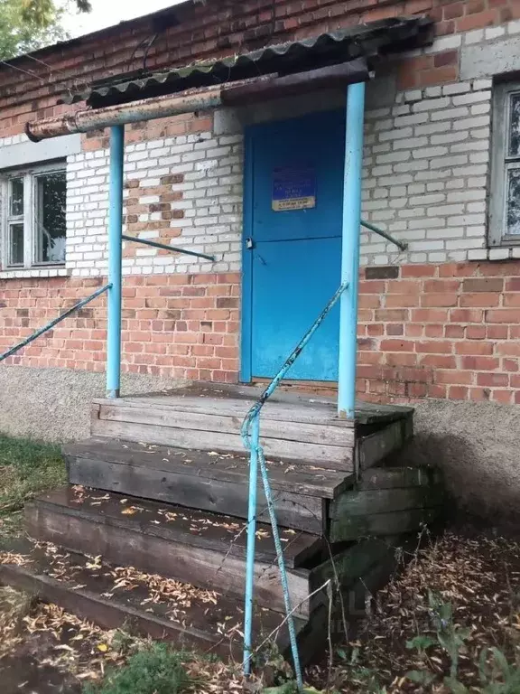 Помещение свободного назначения в Курганская область, Куртамышский ... - Фото 1