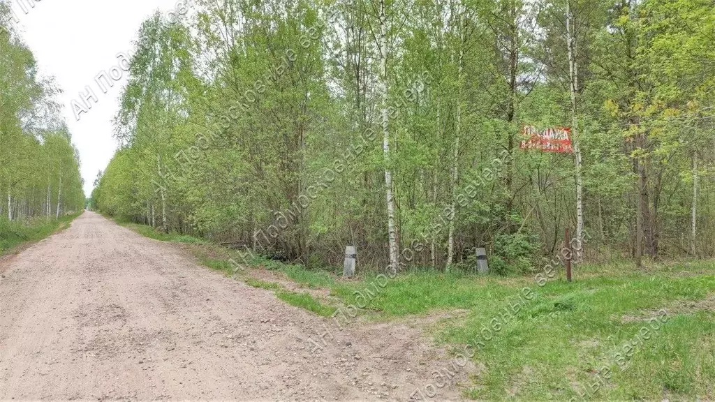 Участок в Московская область, Клин городской округ, Авионика СНТ 58 ... - Фото 1