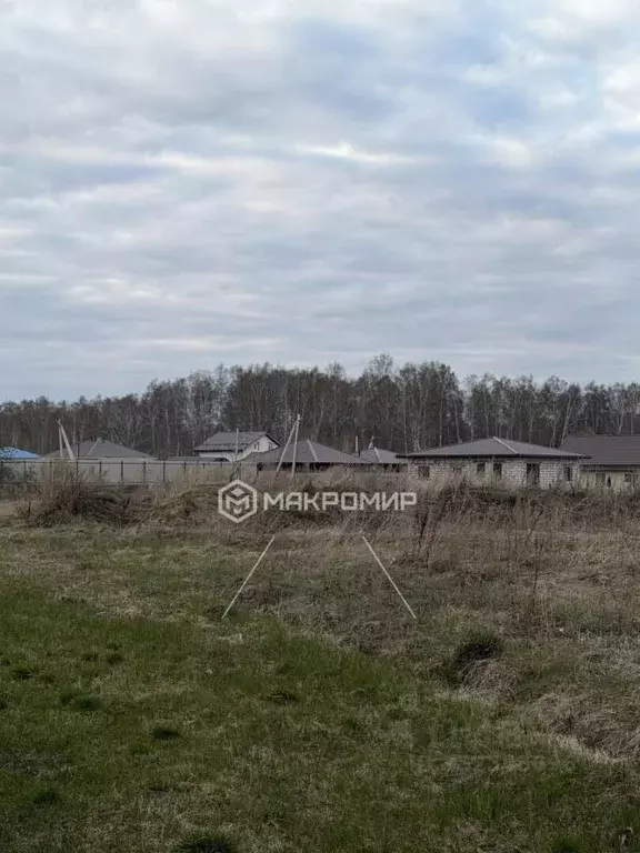 Участок в Челябинская область, Сосновский муниципальный округ, с. ... - Фото 1