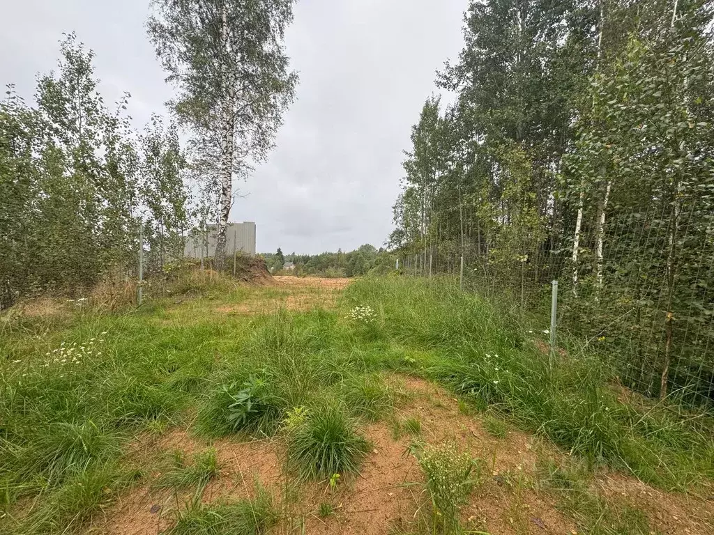 Участок в Ленинградская область, Кировский район, Мгинское городское ... - Фото 1