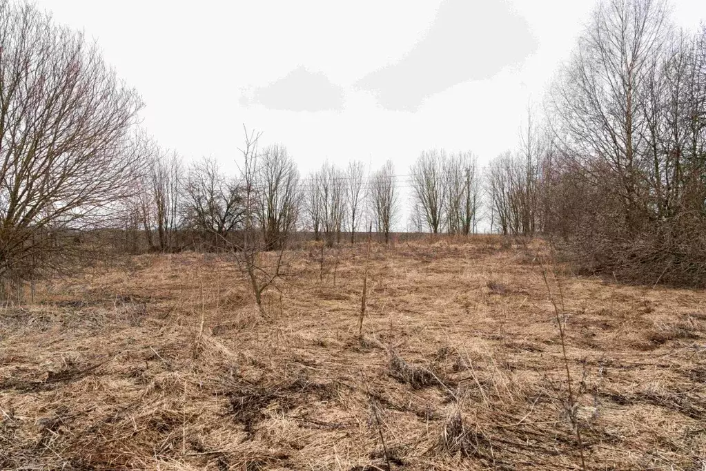 Участок в Владимирская область, Александровский муниципальный округ, ... - Фото 2