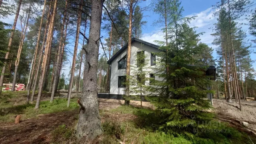 Дом в Ленинградская область, Всеволожское городское поселение, СОСН ... - Фото 2