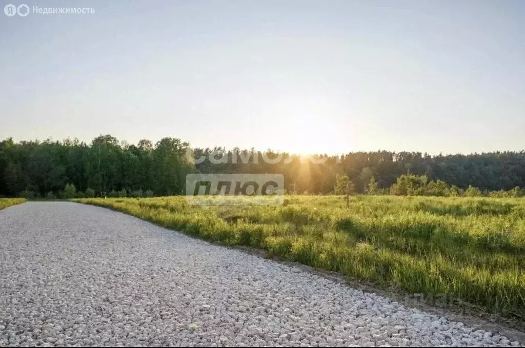 Участок в Одинцовский городской округ, СНТ Лапино (8.14 м) - Фото 2