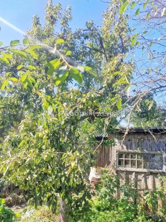 Участок в Калининградская область, Советск Дружба СНТ,  (6.4 сот.) - Фото 2