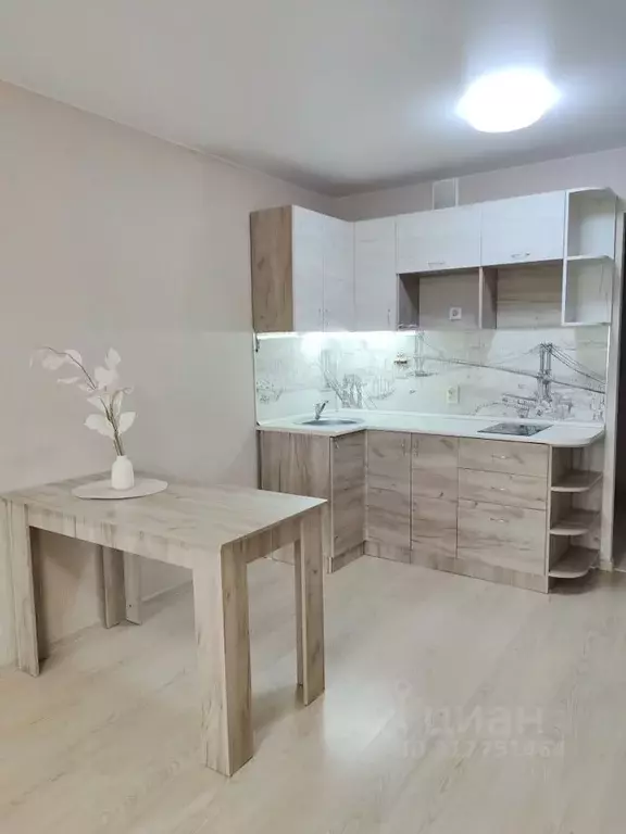 Студия Кировская область, Киров Луговой пер., 1 (25.0 м) - Фото 1