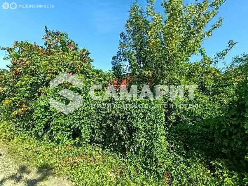 Участок в Красноярский район, городское поселение Новосемейкино, ... - Фото 2