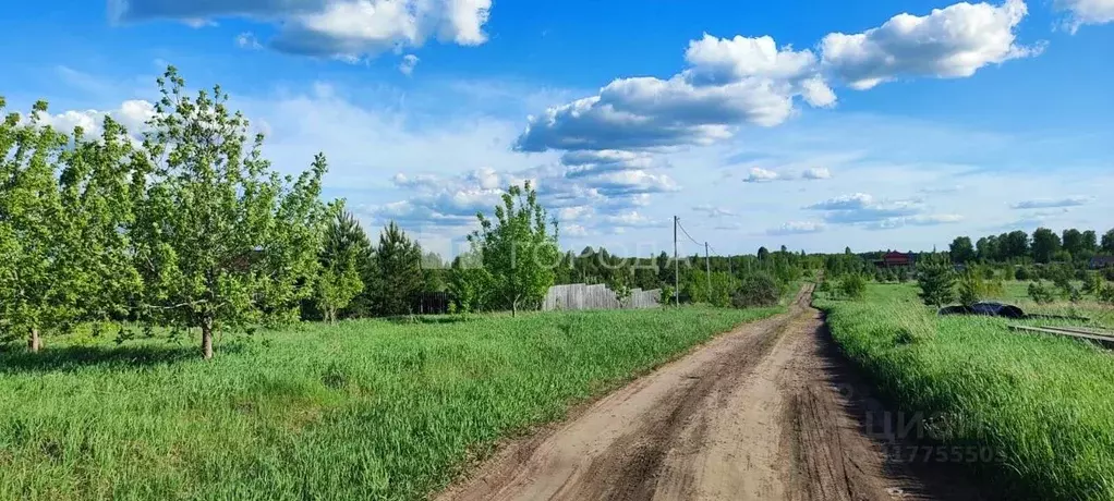 Участок в Алтайский край, Первомайский район, пос. Новый ул. ... - Фото 0