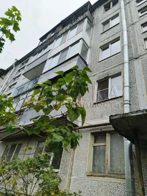 2-к кв. Ленинградская область, Коммунар г. Гатчинский муниципальный ... - Фото 1