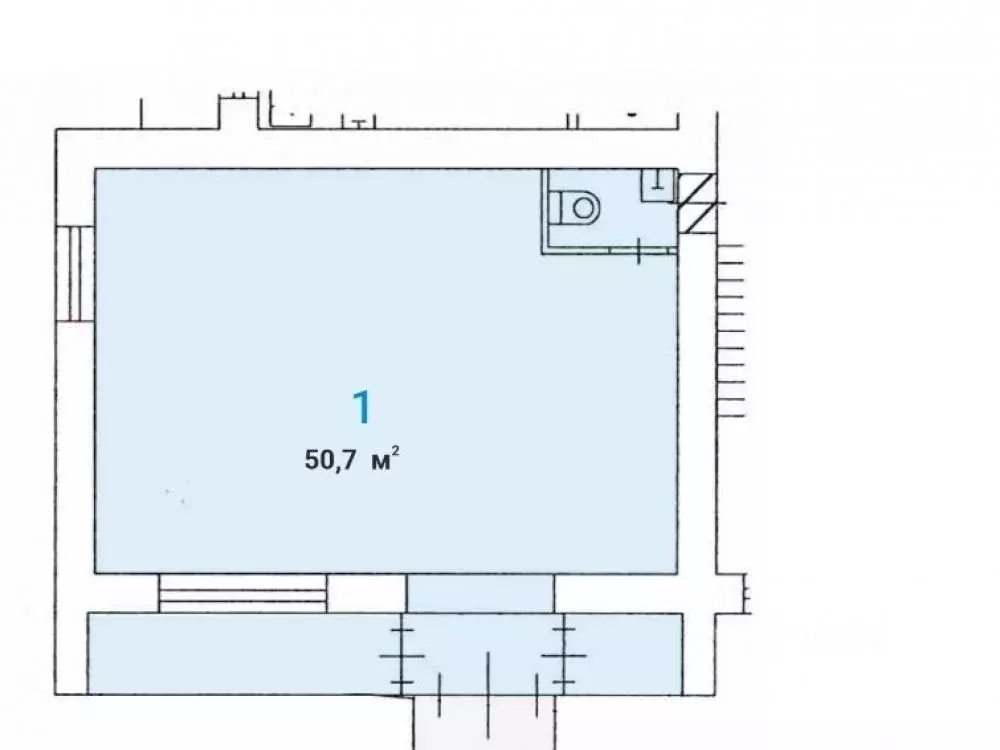 Торговая площадь в Москва Большая Бронная ул., 9/1 (51 м) - Фото 0