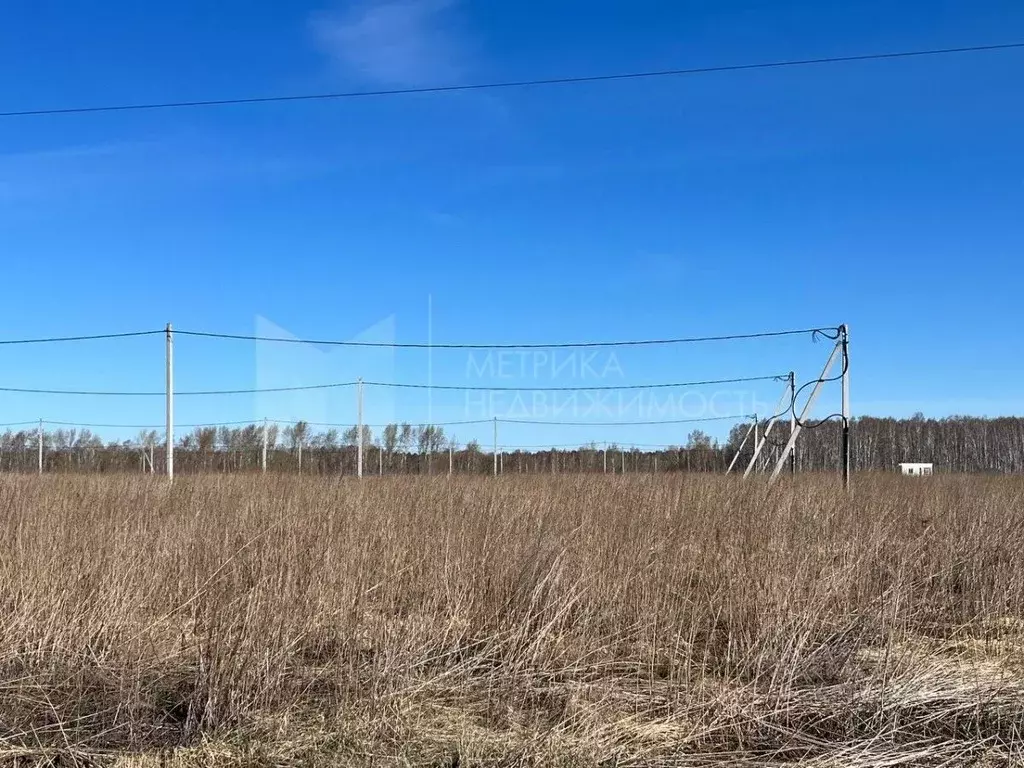 Участок в Тюменская область, Тюменский район, д. Решетникова  (8.0 ... - Фото 1