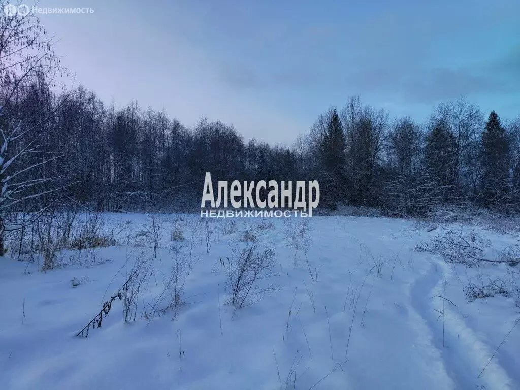 Участок в Хваловское сельское поселение, деревня Горка-Хваловская (25 ... - Фото 0