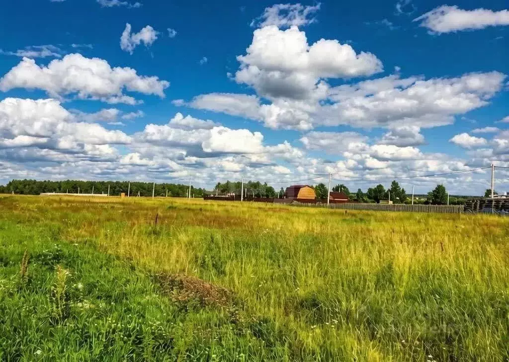 Участок в Ленинградская область, Выборгский район, Каменногорское ... - Фото 1