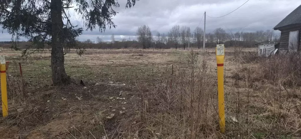 Участок в Ленинградская область, Волосовский район, Большеврудское ... - Фото 2