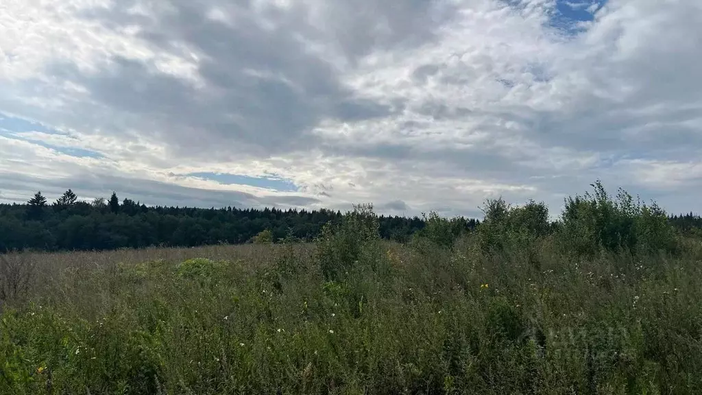 Участок в Московская область, Истра ул. Ленина, Река Истра (22.71 ... - Фото 1