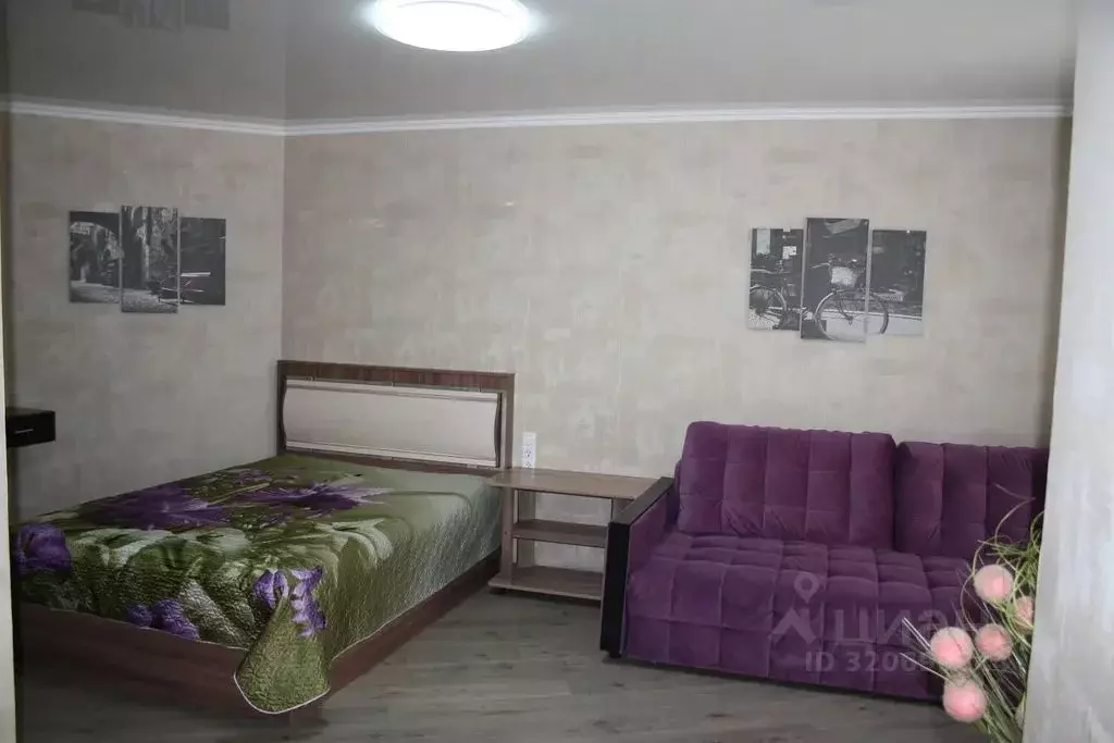 1-к кв. Саратовская область, Саратов Лунная ул., 30А (45.0 м) - Фото 1