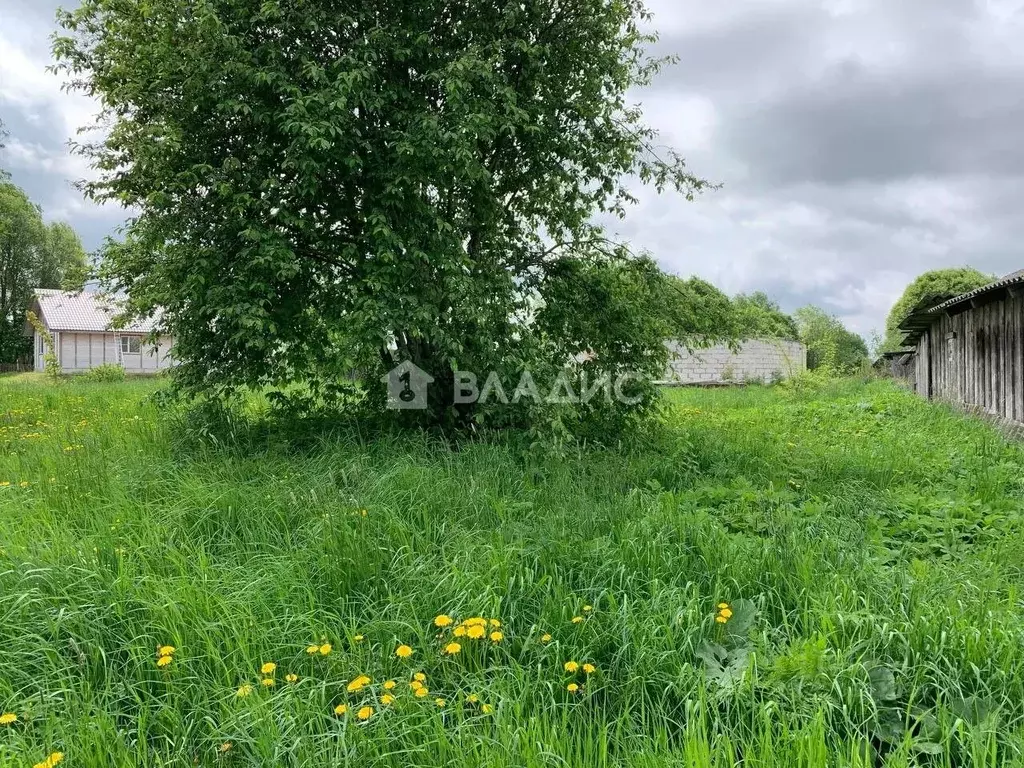 Дом в Карелия, Олонецкий район, д. Мегрега  (178 м) - Фото 1