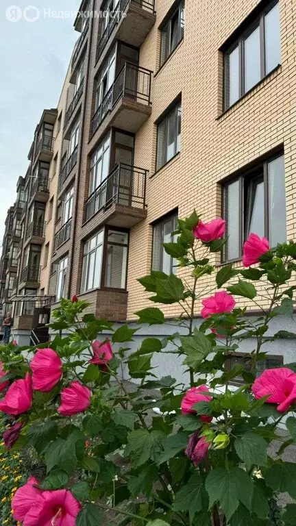 1-комнатная квартира: Беслан, улица Фриева, 47В (41.9 м) - Фото 1