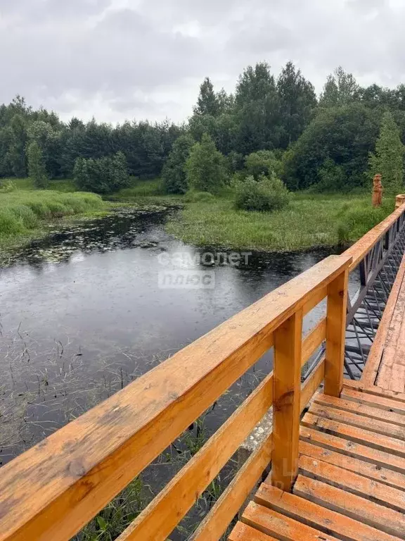 Участок в Вологодская область, Череповецкий район, д. Новое Домозерово ... - Фото 1