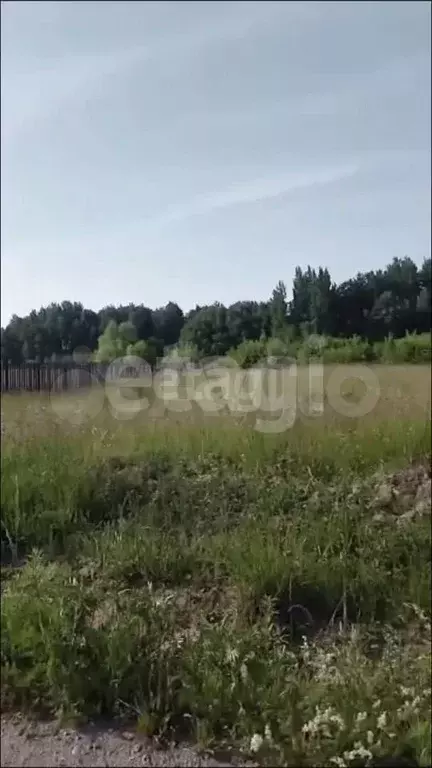 Участок 10 сот. (ИЖС) - Фото 1