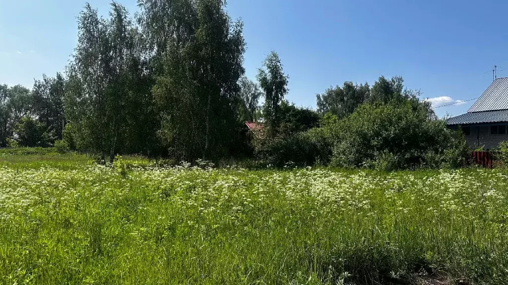 Продается участок в д. Поповка - Фото 1