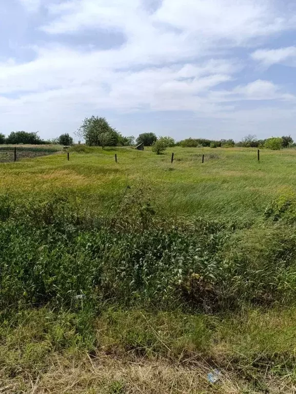 Участок в Ростовская область, Неклиновский район, с. Лакедемоновка ... - Фото 1