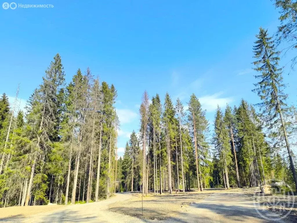 Участок в городской посёлок Рощино, клубный посёлок ЦК-2 (12 м) - Фото 0