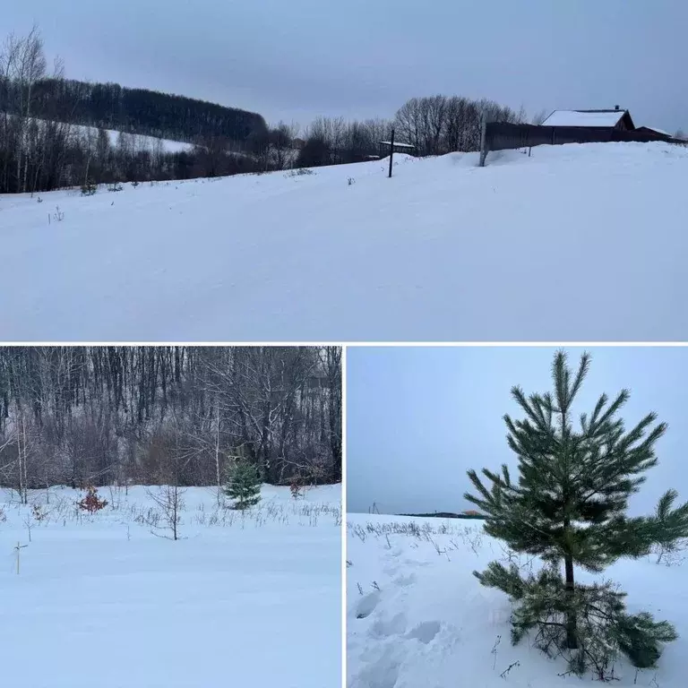 Участок в Нижегородская область, Богородский муниципальный округ, д. ... - Фото 1