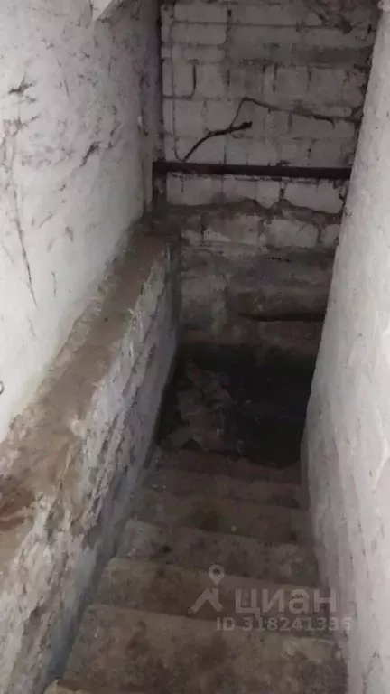 Помещение свободного назначения в Челябинская область, Златоуст просп. ... - Фото 0