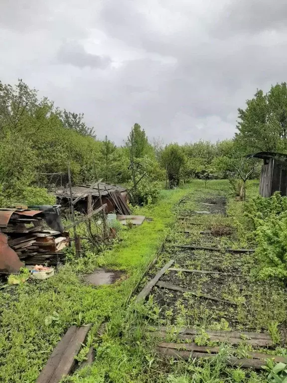 Участок в Тамбовская область, Тамбовский муниципальный округ, с. ... - Фото 1