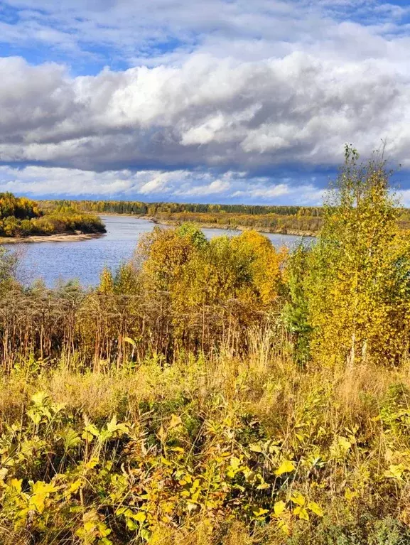 Участок в Коми, Корткеросский район, Додзь муниципальное образование, ... - Фото 1