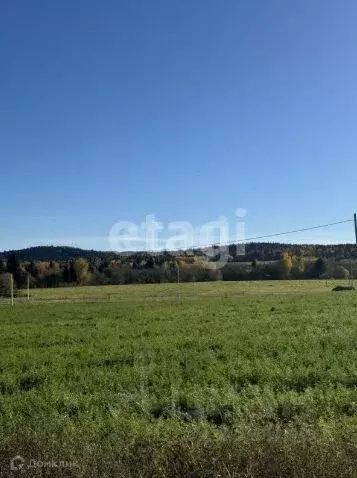 Участок в Пермский край, Пермский муниципальный округ, Полюдовский ... - Фото 2