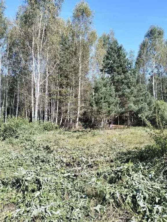 Участок в Тюменская область, Тюменский муниципальный округ, Янтарное ... - Фото 1