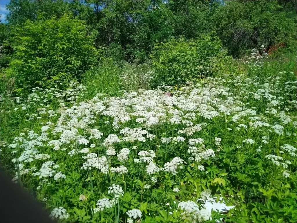 Участок в Нижегородская область, Нижний Новгород Ленинец-1 СТ,  (10.0 ... - Фото 0