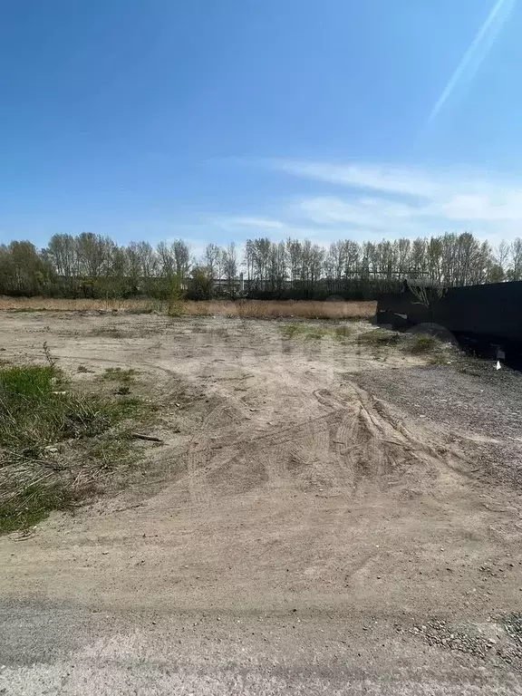 Участок 10 сот. (СНТ, ДНП) - Фото 0