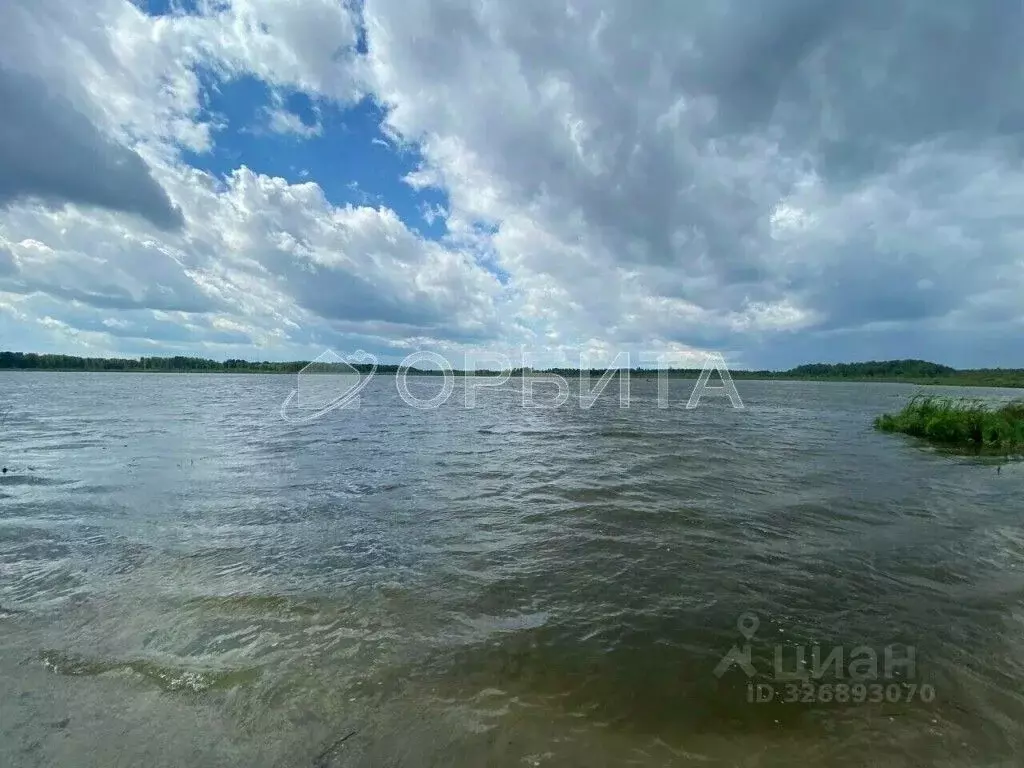 Участок в Тюменская область, Тюменский муниципальный округ, Боровский ... - Фото 1