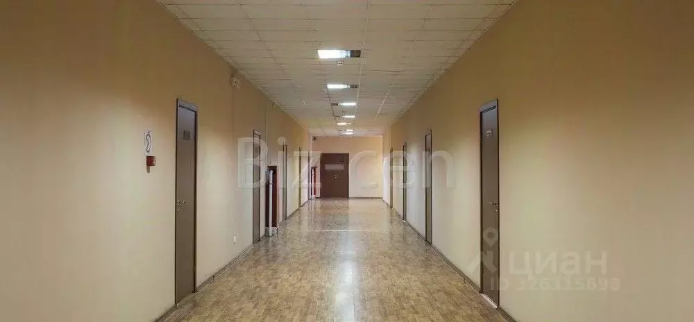 Офис в Санкт-Петербург Малая Митрофаньевская ул., 4 (300 м) - Фото 1