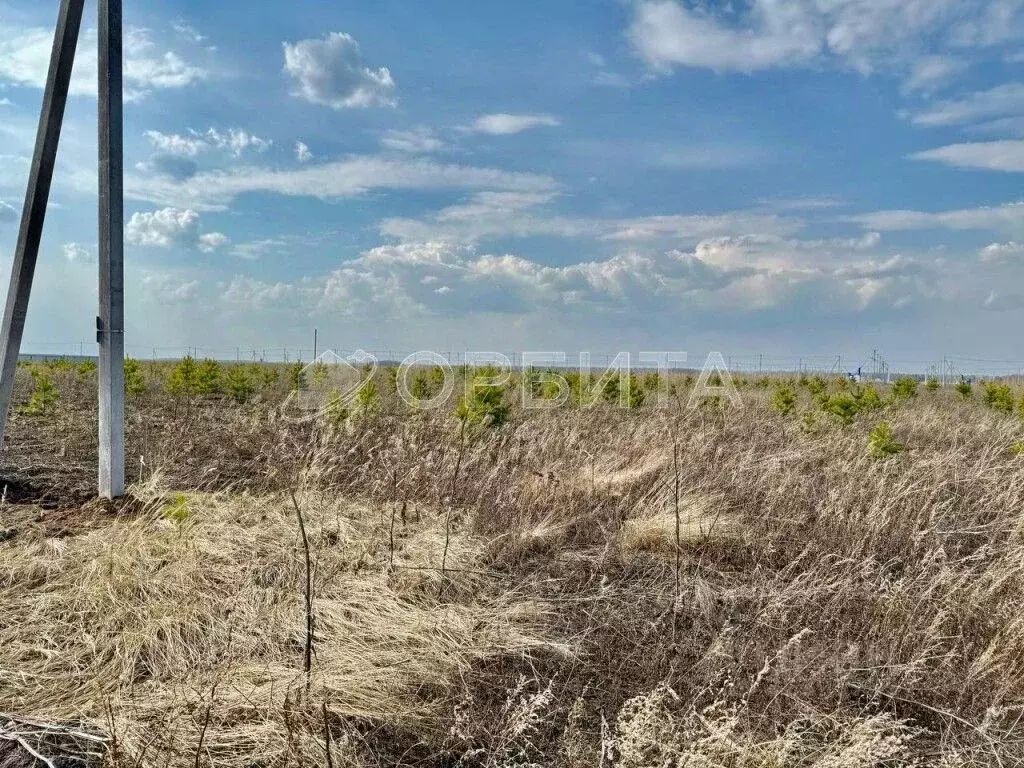 Участок в Тюменская область, Тюменский муниципальный округ, ... - Фото 2