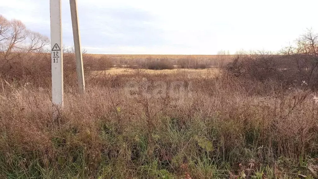 Участок в Мордовия, Большеберезниковский район, с. Нерлей Центральная ... - Фото 0