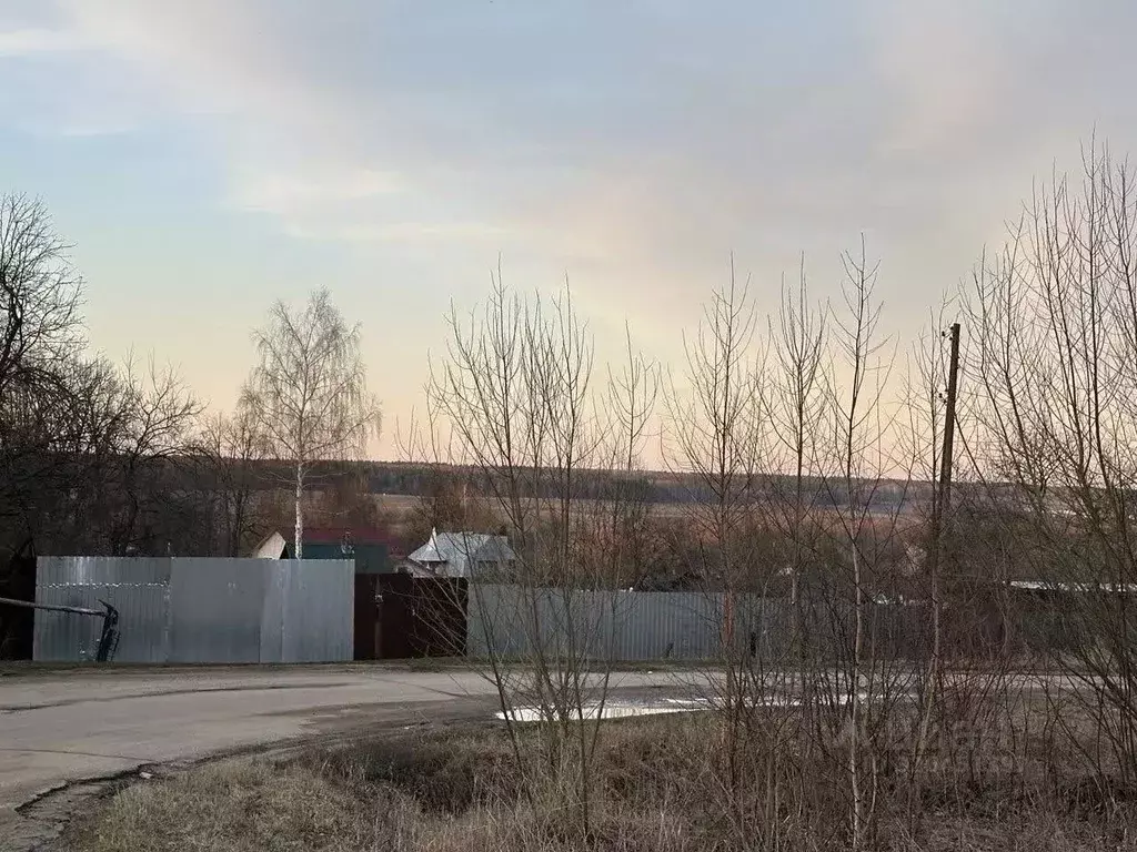 Участок в Московская область, Кашира городской округ, д. Большое ... - Фото 2