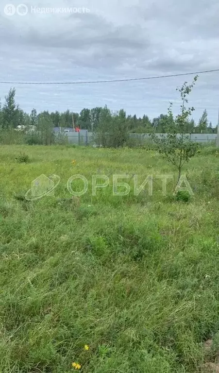 Участок в Тюменский муниципальный округ, деревня Коняшина (12 м) - Фото 1