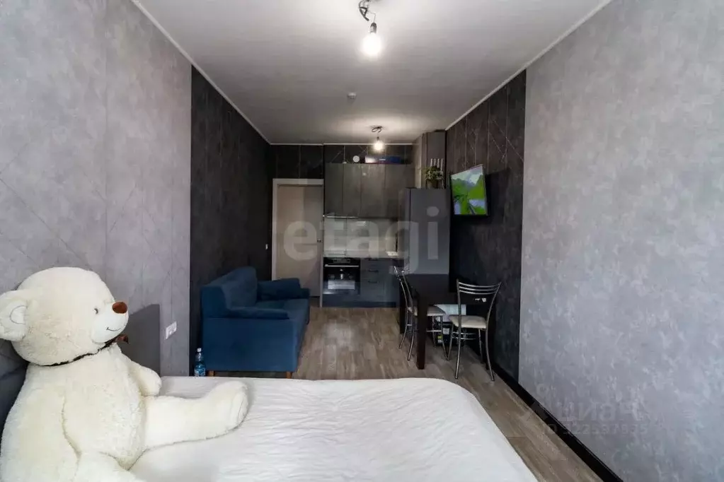 Студия Красноярский край, Красноярск Караульная ул., 39А (29.6 м) - Фото 1