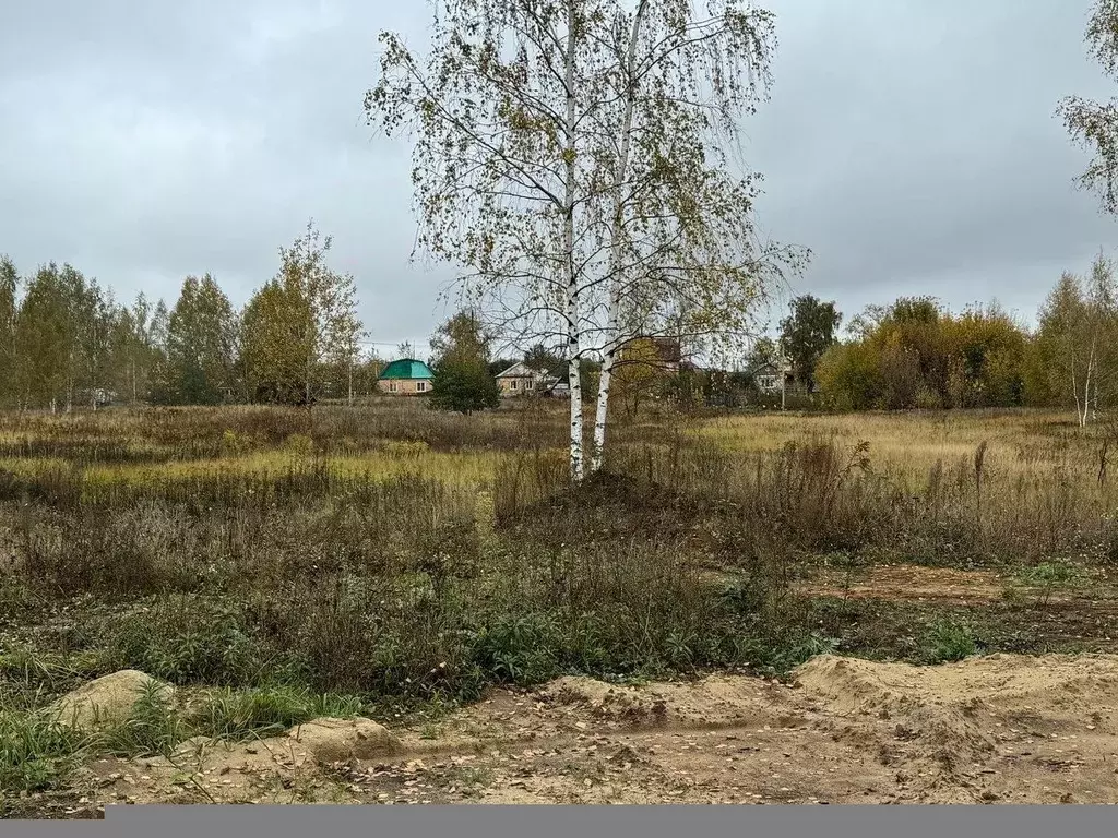 Участок в Московская область, Богородский городской округ, Обухово рп, ... - Фото 0