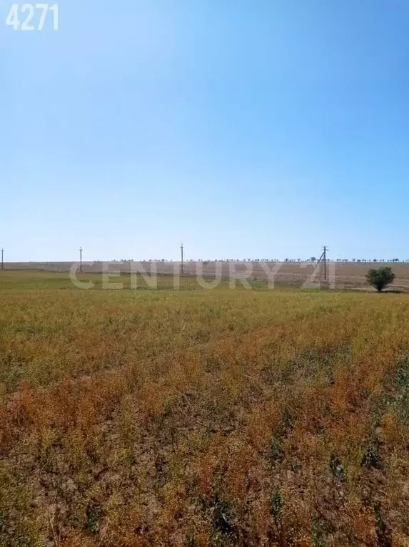 Участок в Крым, Сакский район, с. Добрушино ул. Виноградная, 69 (152.4 ... - Фото 2