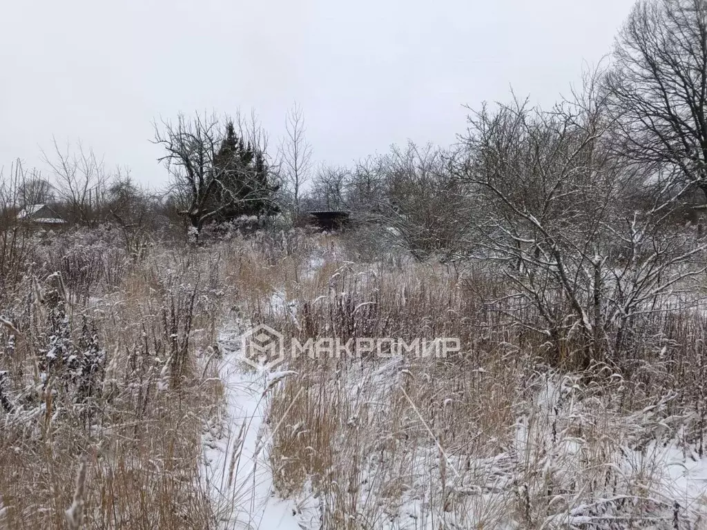 Участок в Брянская область, Брянск Черемушки садоводческое ... - Фото 2