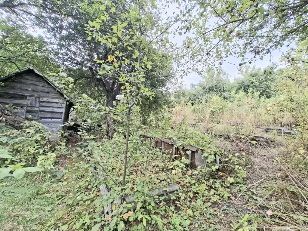 Участок в Саратовская область, Саратов  (6.5 сот.) - Фото 1