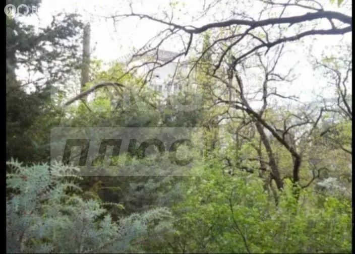 Участок в Ялта, улица Кирова, 19 (8 м) - Фото 1