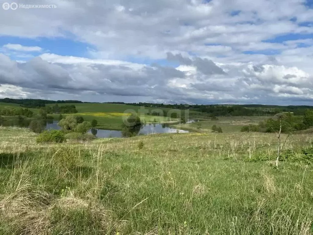 Участок в Калужская область, Мещовский муниципальный округ, сельское ... - Фото 2
