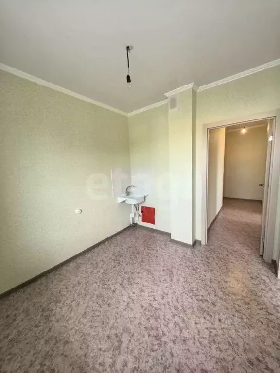 2-к кв. Алтайский край, Бийск ул. Михаила Митрофанова, 2/2 (45.5 м) - Фото 1