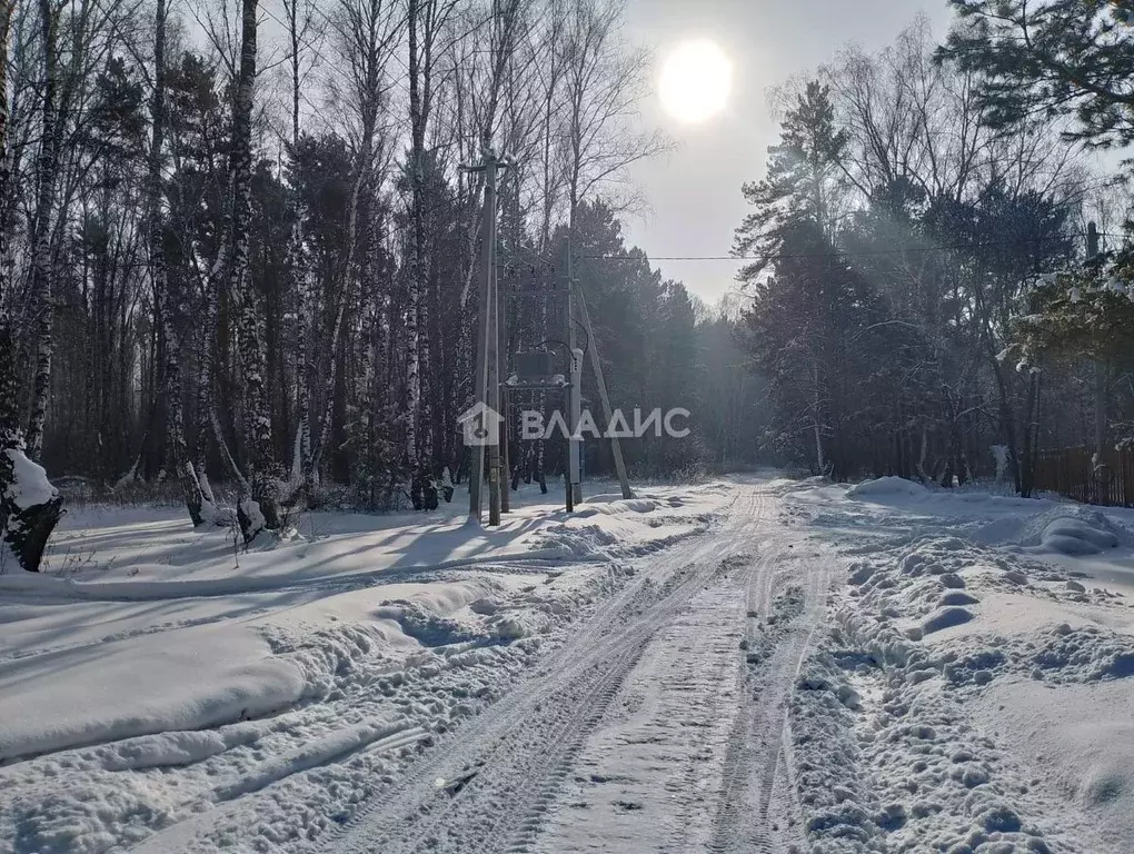 Участок в Кемеровская область, Кемеровский муниципальный округ, с. ... - Фото 1
