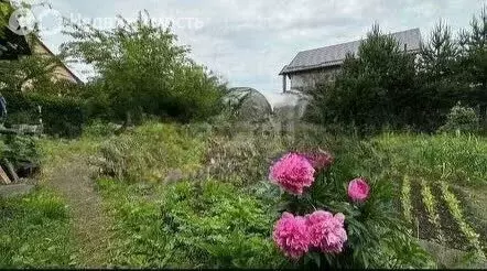 Участок в Калининград, СНТ Радуга, 3-я Тупиковая улица (4.8 м) - Фото 1
